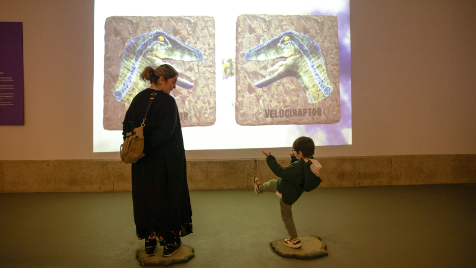 Comezaina Pré-histórica